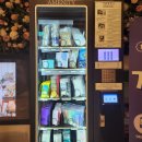 호텔다움 | 울산여행ㅣ내돈내산, 호텔다움 숙박 후기 / 가성비 좋은 울산호텔 추천!