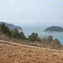 서부해안로(안치) 이미지