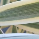 용인우리내과의원 이미지