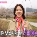 미스차미용실
