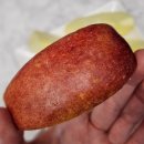 두루산장 | 문경새재산장 감홍 비품(공품) 5kg 후기