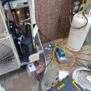 천마해오름태권도장 이미지