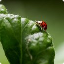 이마트트레이더스하남 화장실(고객) | 이마트 트레이더스 구성점 휴무일, 주말영업, 방문전 확인