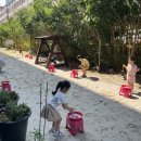 본촌초병설유치원 이미지