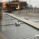 금호강변로 | 카페 전체가 미술관 같았던 하양 맛집 카페 추천 눈내리는 카페 인필름