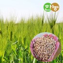한농마트