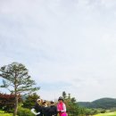 웰리스코스메틱 네이버블로그