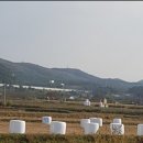 수도 한우목장 이미지