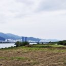 낙동강변3 이미지