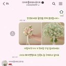 디어리플라워스튜디오