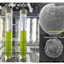 (주)바이오사료연구소 이미지