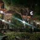 홍천 강가애 이미지