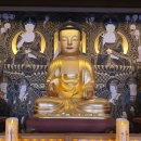 상주 남장사 목조아미타여래삼존좌상 | 보물 제 1690호 거창 심우사 목조아미타여래좌상