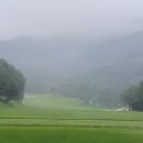 걸미로 이미지