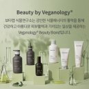 티는헤어 이미지