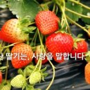 이루리농장 이미지