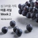 과일판다 이미지