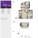 금성백조 예미지 이미지