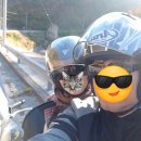 행곡2리(처진소나무옆) | 한 겨울의 낭만가도 드라이브 - 울진 불영사계곡로, 금강송 숲길, 사랑바위의 전설