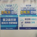 타이틀리스트 t100 t200 t150 t350 아이언 헤드 차이점 원주 골프샵 방문 후기