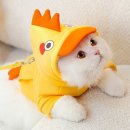 온누리펫
