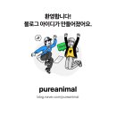 순수 동물병원 이미지