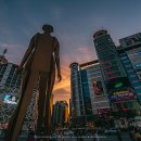 동대문쇼핑타운 이미지