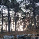 경기종묘사 이미지