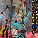 놀토피아 이미지