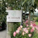 온곡길 | [기장 근교/울산 서생] 생화구매가 가능한 꽃농원 &#34;문그로우 농원&#34;
