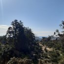 남원읍-102 이미지