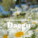 서구청소년수련관 주차장 이미지