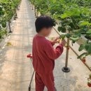 봄뜰에농장 이미지