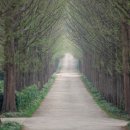 나주자원 이미지