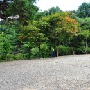 산야초 자연 캠핑장 이미지