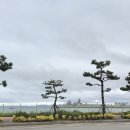 포항다문화가족 | [기관 출강] 포항시가족센터 인테리어 소품 만들기(백드롭 페인팅) 출강 후기 | 공방 클럽김삼백
