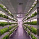 스마트농장 이미지