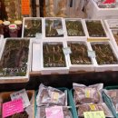 하조대캠핑카 이미지