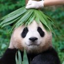 꿀벌아고마워 행정사 사무소 | 슬기로운 방학생활 #1