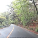 합천가든 | 또 가고 싶은 합천 해인사 맛집