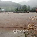 증4리 이미지