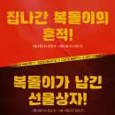라텍스코리아시스템 이미지