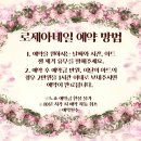 로제아네일 - 강북구 도봉로87길 40 | 로제아네일