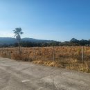 시흥리-3 이미지