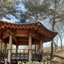 반디랜드 곤충박물관 | 무주 반디랜드 아이랑 다녀온 솔직 후기 🌿 곤충박물관부터 천문과학관까지!