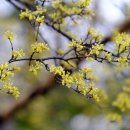 풍동가족한의원 이미지