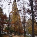 어방동 동김해IC ∼ 인제대후문 ∼ 화인아파트 | 김해 가야테마길과 누리길, 분성산과 분산성
