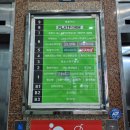 보정동 루프탑 술집&#39;병팔이네&#39; 방문기|오삼불고기 세트 후기(야장자 있는 술집)