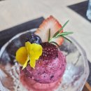 거창 뷰 맛집 이수미팜베리 | 벚꽃 시즌 감악산 카페 필수코스