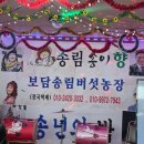 보담송림버섯농장 네이버블로그